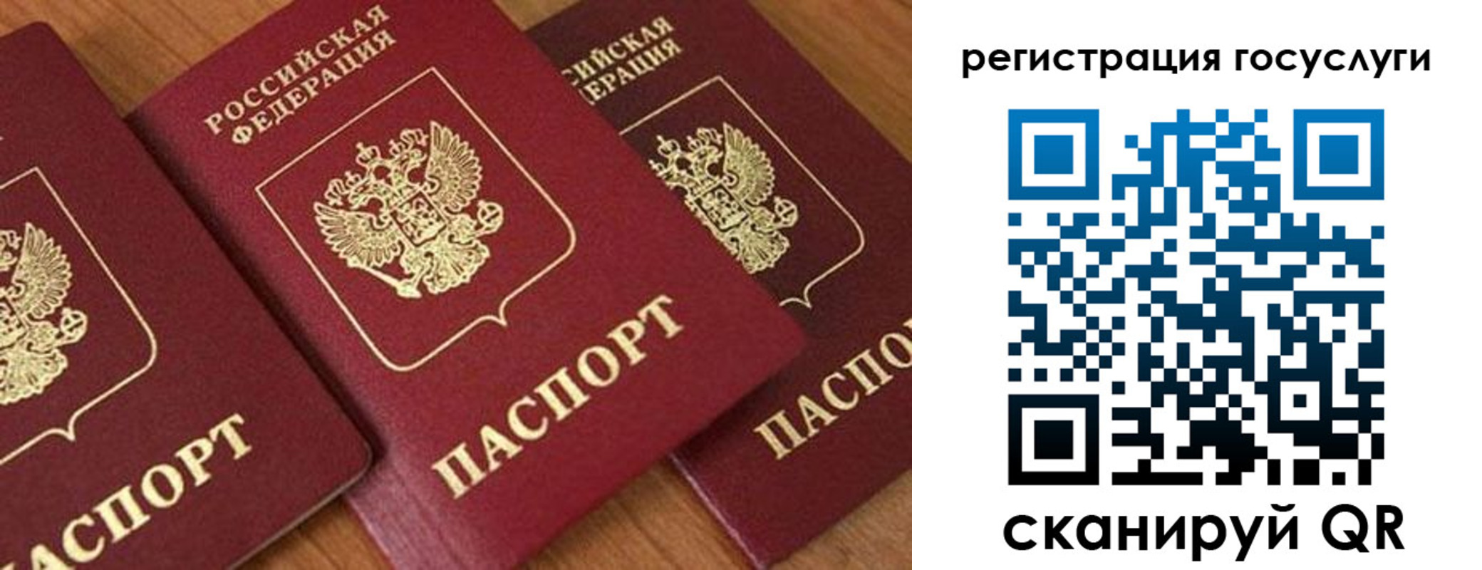 временная регистрация гарантия в Туле